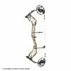 Bear Archery 2022 Bear Whitetail Legend Pro Compound Bow -.30-06 Outdoors Shop 1030053