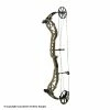 Bear Archery Bear Adapt The Hunting Public Compound Bow
