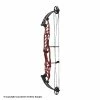 Hoyt Stratos 40 Compound Target Bow (SVX) -.30-06 Outdoors Shop 1032810 red
