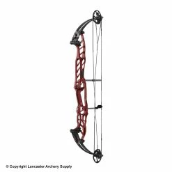 Hoyt Stratos 40 Compound Target Bow (SVX)