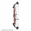 Hoyt Stratos 40 Compound Target Bow (HBT) 2 Hoyt Stratos 40 Compound Target Bow (HBT) -.30-06 Outdoors Shop 1032812 red