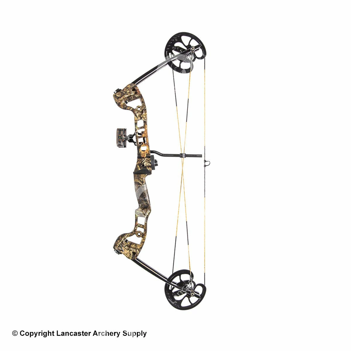 Barnett Vortex Compound Bow 3 Barnett Vortex Compound Bow