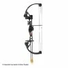 Bear Archery Bear Brave Bow Set (Black) -.30-06 Outdoors Shop 1360177