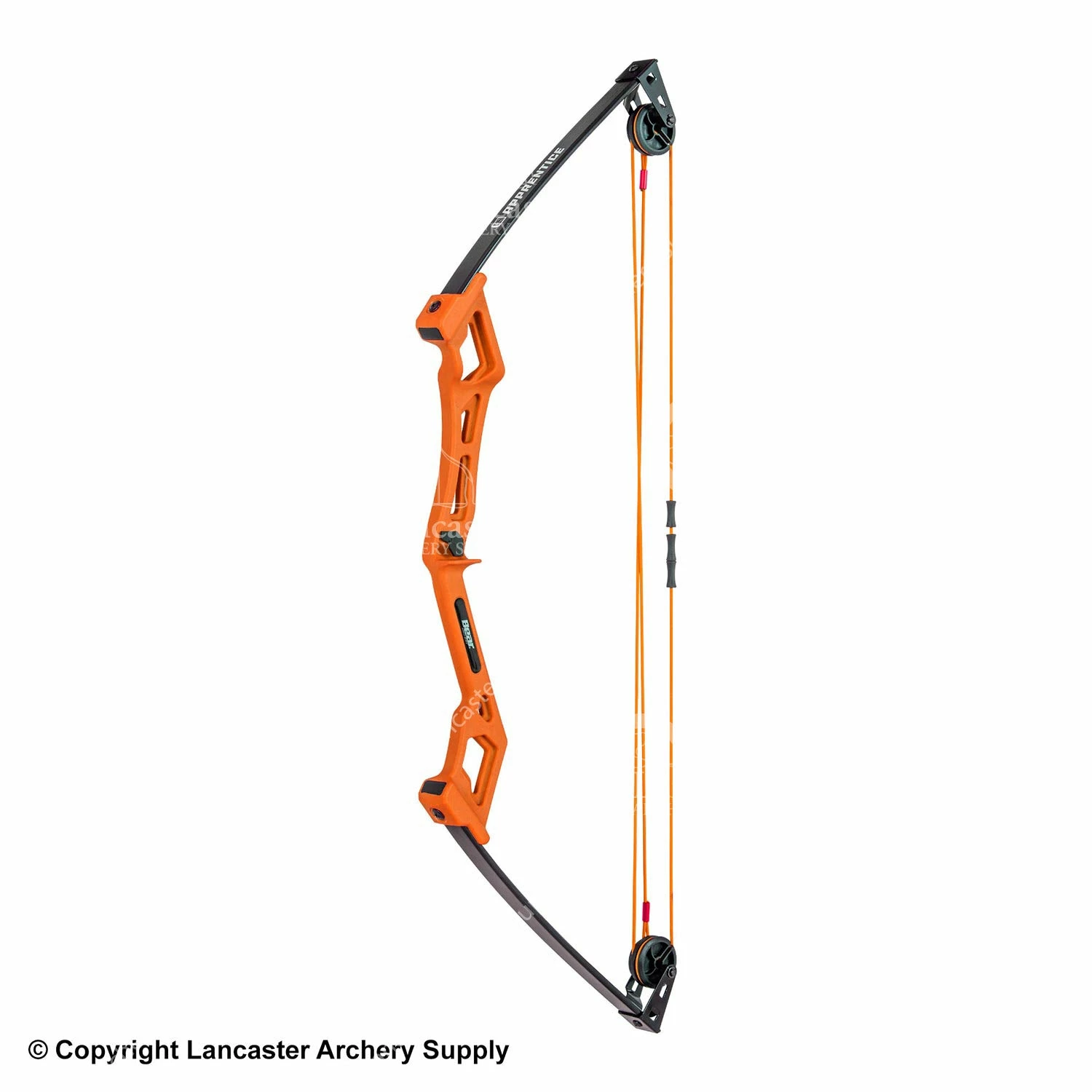 Bear Archery Bear Apprentice Compound Bow 4 Bear Archery Bear Apprentice Compound Bow - Image 2