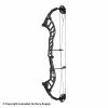 2021 Hoyt Altus 38 Compound Target Bow DCX Cam (Clearance X1033001)
