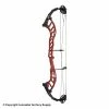 2021 Hoyt Altus 38 Compound Target Bow DCX Cam (Clearance X1033002)