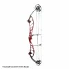 2021 PSE Citation EM Compound Target Bow -.30-06 Outdoors Shop 3530670