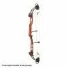 2021 PSE Lazer Target Compound Bow -.30-06 Outdoors Shop 3530672 blackcherry